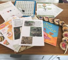 Wrekin Forest School lesson planning
