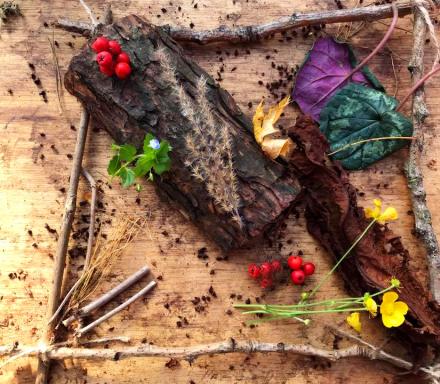 Wrekin Forest School for schools and groups
